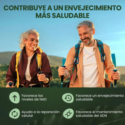 Reus Research NR900™